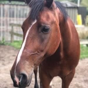 Meet your Posher, Johnny